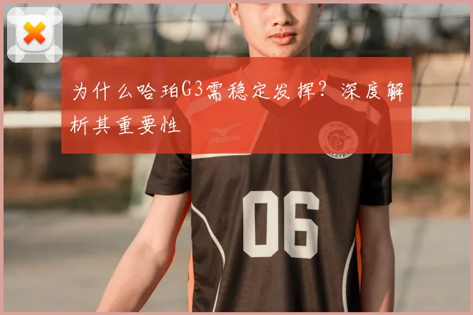 为什么哈珀G3需稳定发挥？深度解析其重要性
